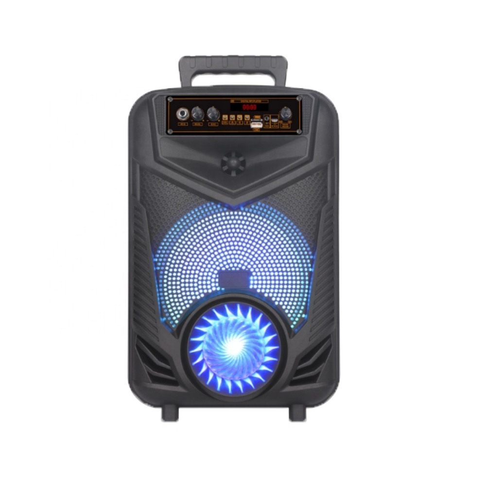 Promotion portable mini 8 inch gadgets small gift BT speaker, ambient light, outdoor or home use karaoke NDR-P44