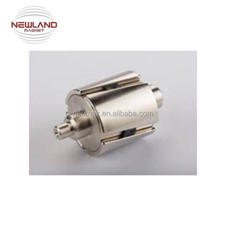 Customized Motor Rotor Neodymium Magnet Magnetic Rotor and Stator for Brushless DC Motor, Servo Motor, Generator