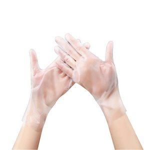 Disposable PE  Plastic Pairpacking Polyethylene Clear TPE/PE Disposable Glove