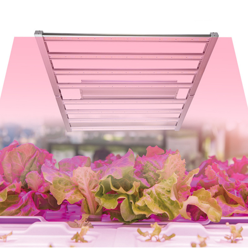 Vertical Farming Horticulture LM301B LM301H Full Spectrum Led Grow Light