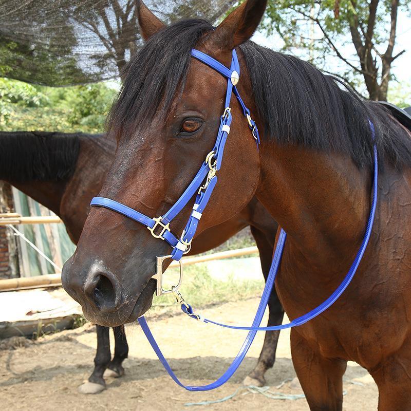 Horse riding equipment with bridle rein