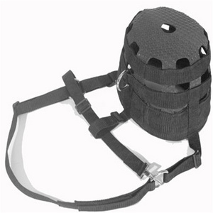 Horse riding equipment with bridle rein