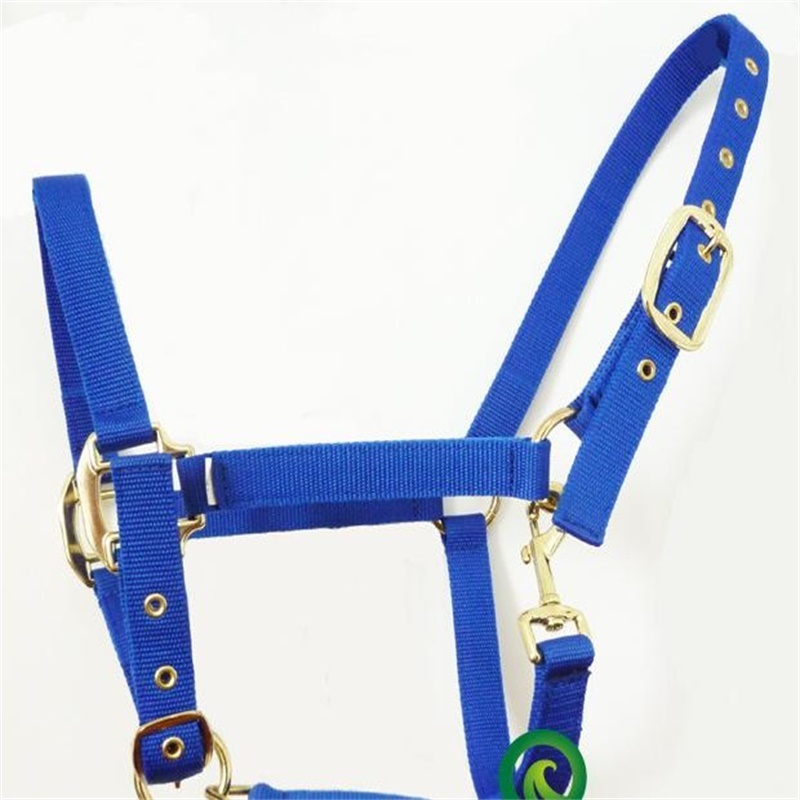 Horse riding equipment with bridle rein