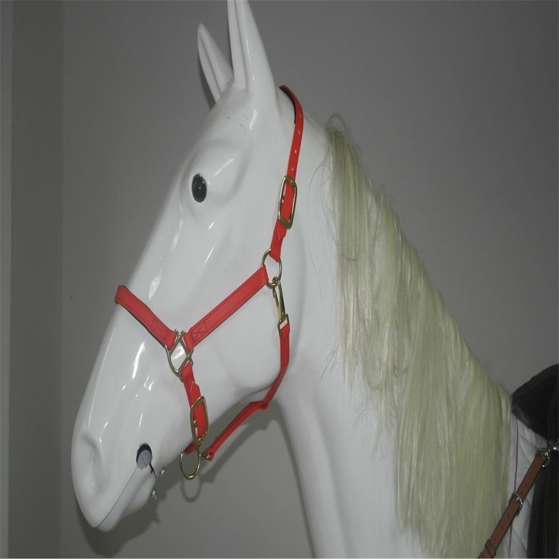 Horse riding equipment with bridle rein