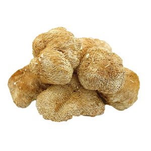 Shennongjia Forest in China Lion's Mane Extract Mushroom Lions Mane Spawn Lions Mane Powder Capsules for Memory & Nerve Support