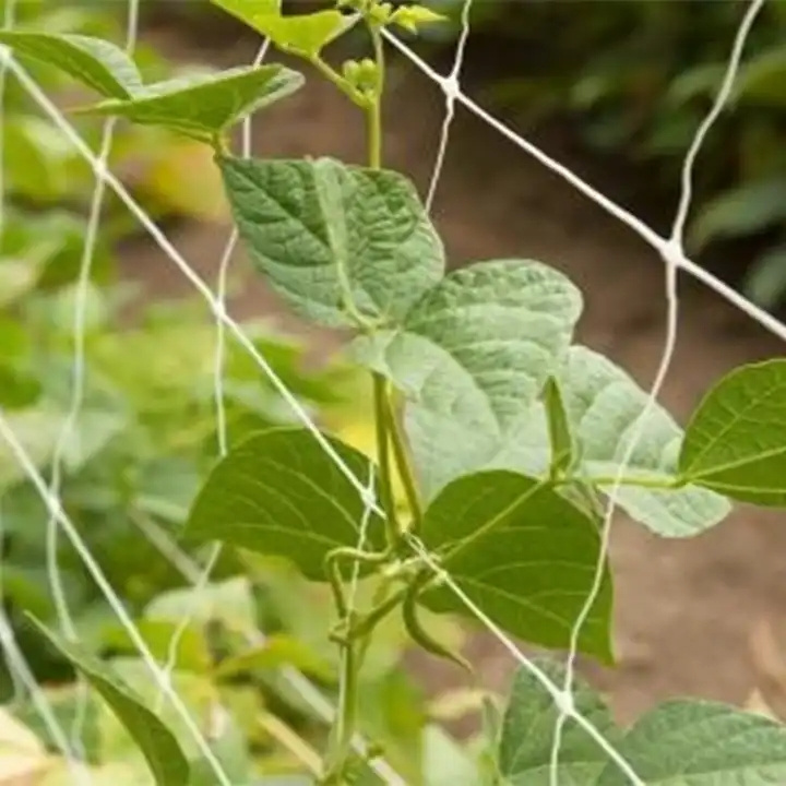 Garden  Cucumber Trellis Net for Crawling Plastic Plant Support Climbing Netting