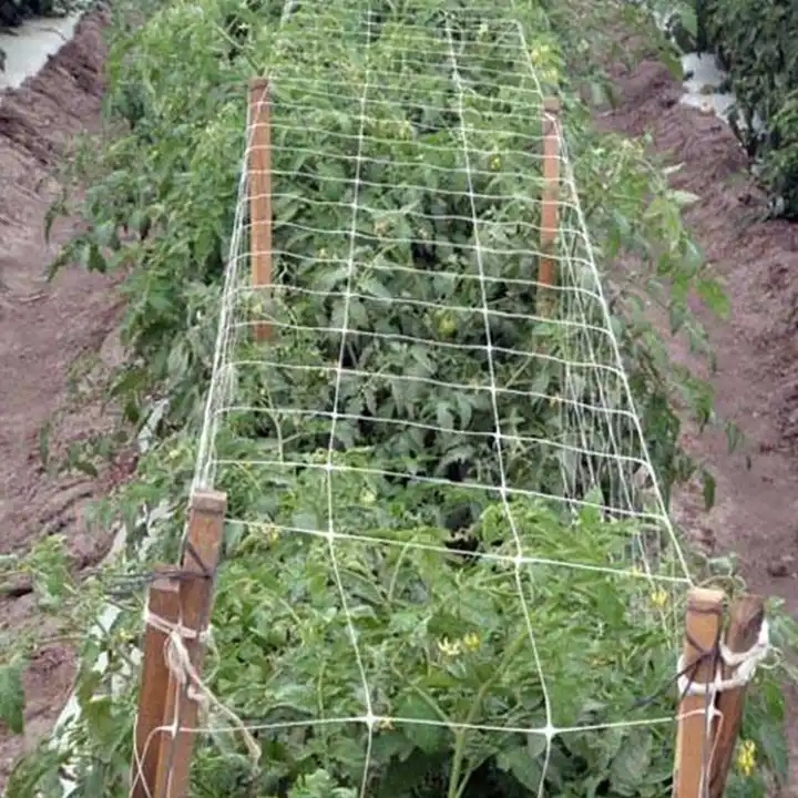 Garden  Cucumber Trellis Net for Crawling Plastic Plant Support Climbing Netting