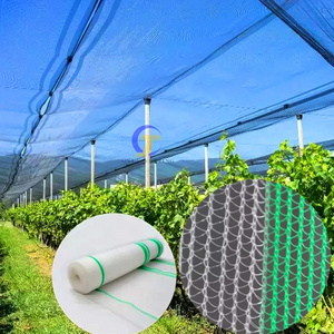 grape protection net anti bird net agricultural vineyard hail protection net