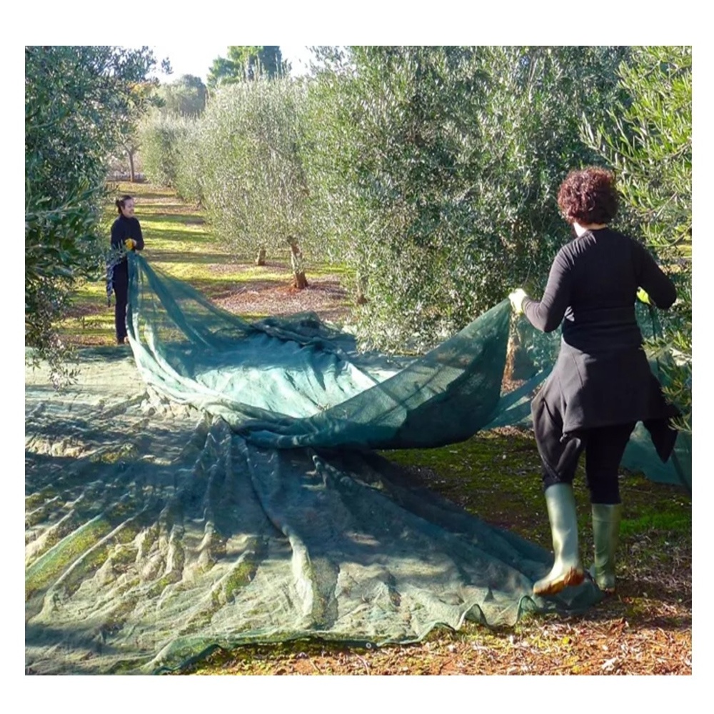 Cheapest price Long life Durable UV Stabilized Nuts Olive Harvest Collection nets Olive Netting Olive Net