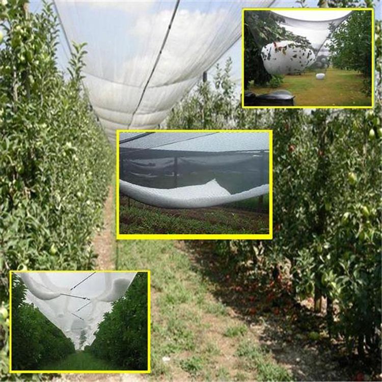 HDPE Agriculture Plastic Yemen Market Anti Hail Mesh Net Protection Net