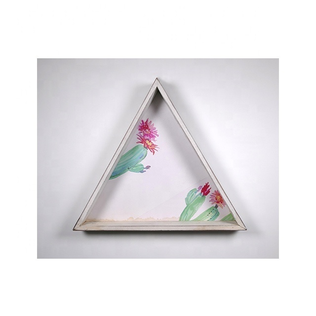 Custom Wooden Triangle Decorative Wall Hanging Shelf Display Decor Rack Cactus Painting for Home