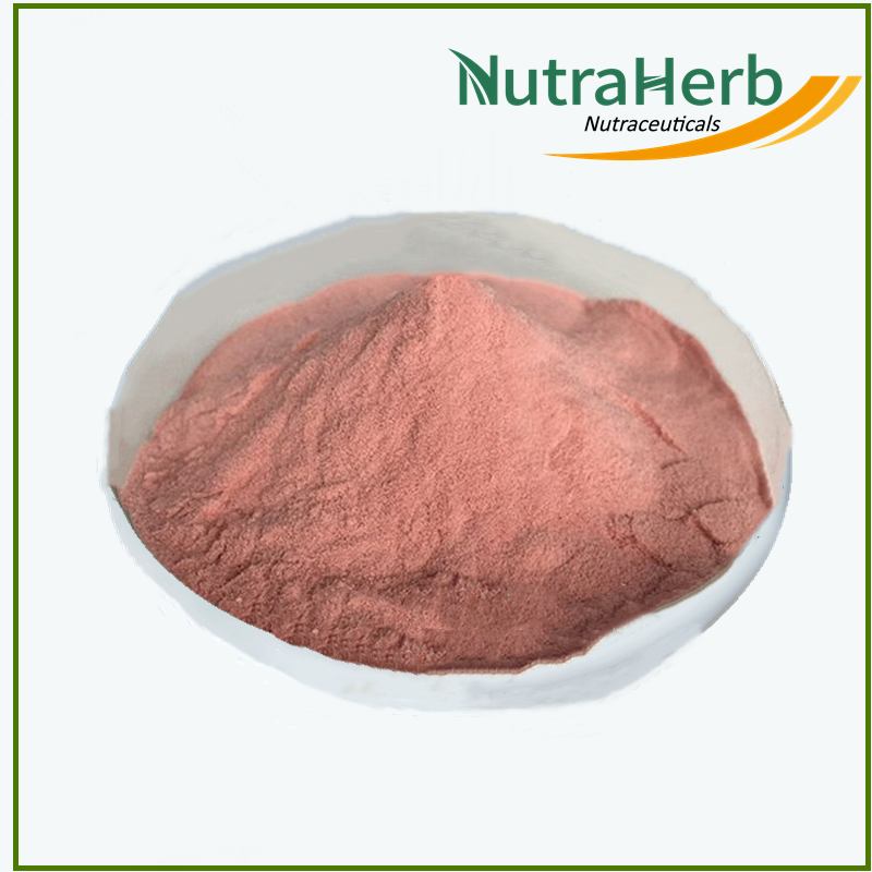 Direct Factory Supply Natural Fruit Powder Guava Flavor Guava Fruit Juice Powder