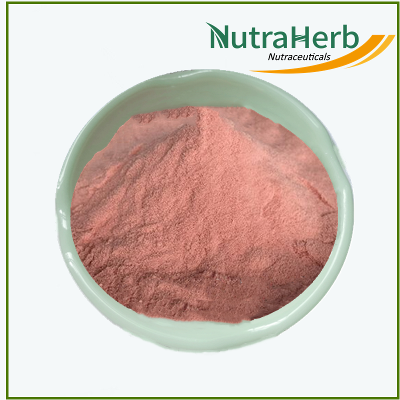 Direct Factory Supply Natural Fruit Powder Guava Flavor Guava Fruit Juice Powder