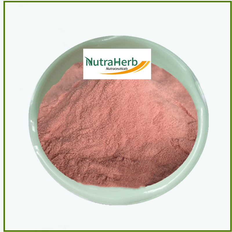 Direct Factory Supply Natural Fruit Powder Guava Flavor Guava Fruit Juice Powder