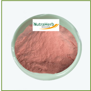 Direct Factory Supply Natural Fruit Powder Guava Flavor Guava Fruit Juice Powder