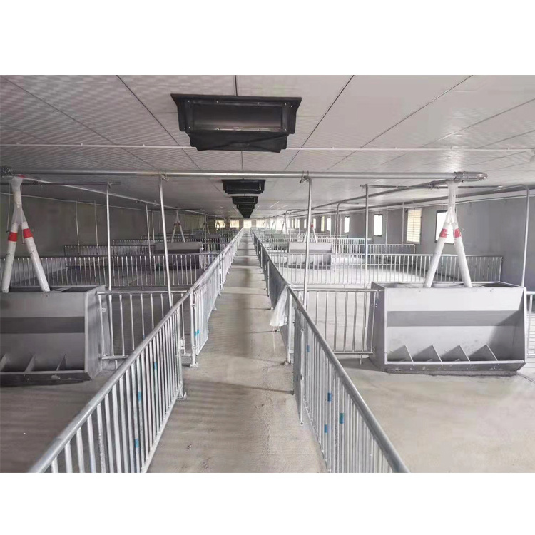 Hot-dip Galvanizing Hogs Equipment Pig Farming Piglet Growth Crate Fattening Finishing Pig Pen/ Crate