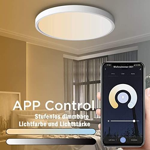 Hot sales 12Inch 24W RGB 8W 3200lm Modern Ultra-Thin Remote Dimmable Led Flush Mount Ceiling Light for Bedroom Living Room