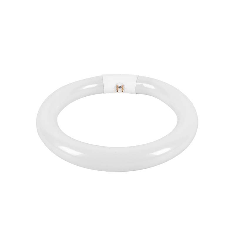 G10q 4pins 8 Inch 1200LM 1600LM LED Circular Ceiling Light 10W 6000K Cool White T9 LED Circle Light Bulb