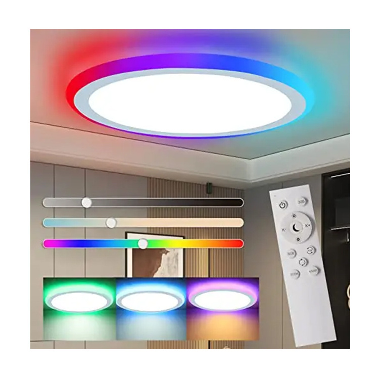 Smart RGB LED Ceiling Light Modern Round 12Inch 12W 18W Dimmable Super Slim Smart Color RGB Ceiling Light Lamp