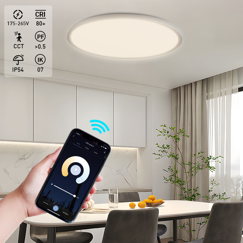 High Quality 24w 32W Round Smart Ceiling Night Lights Modern IP54 3CCT Dimmable Sensor LED Ceiling Lights