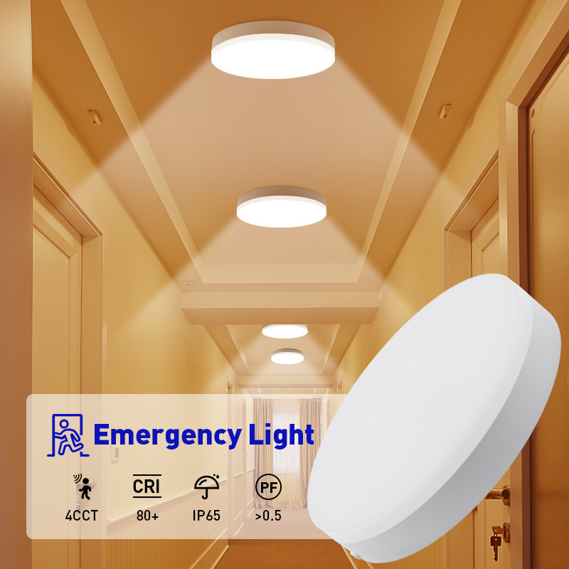 Outdoor Indoor Simple Design Ceiling Light IP65 Dimmable Surface Mounted 18W LED Ceiling Lights Fixtures For Sale