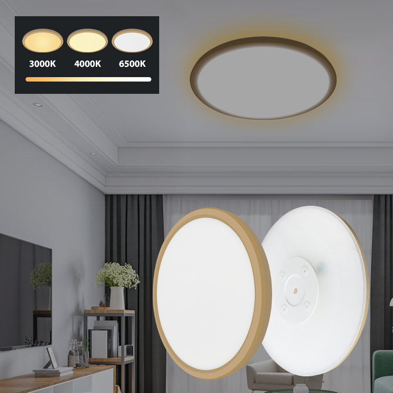 Ultra Thin RGB Dimmable Round Flush Mount Recessed Ceiling Fixtures 12W Indoor Decorative Led Ceiling Light