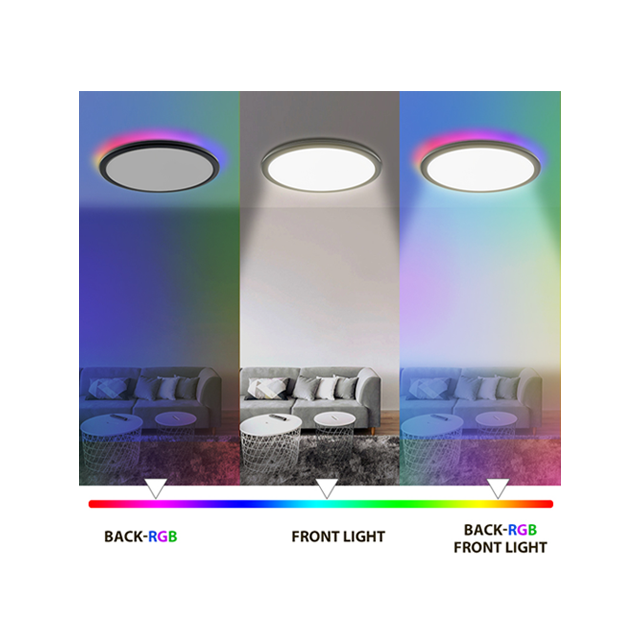 Ultra Thin RGB Dimmable Round Flush Mount Recessed Ceiling Fixtures 12W Indoor Decorative Led Ceiling Light