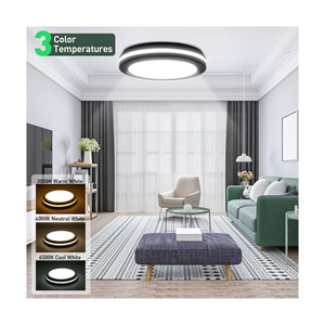 Smart 3CCT Color Changeable Indoor/Outdoor Fixtures IP65 20w 30w Motion Sensor Modern Led Ceiling Lights