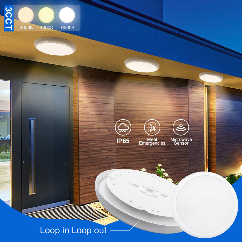 Factory CE CCT Round Led Lights Ceiling 12w IP65 Bathroom Kitchen Surface Mounted Ceiling Light Fixtures