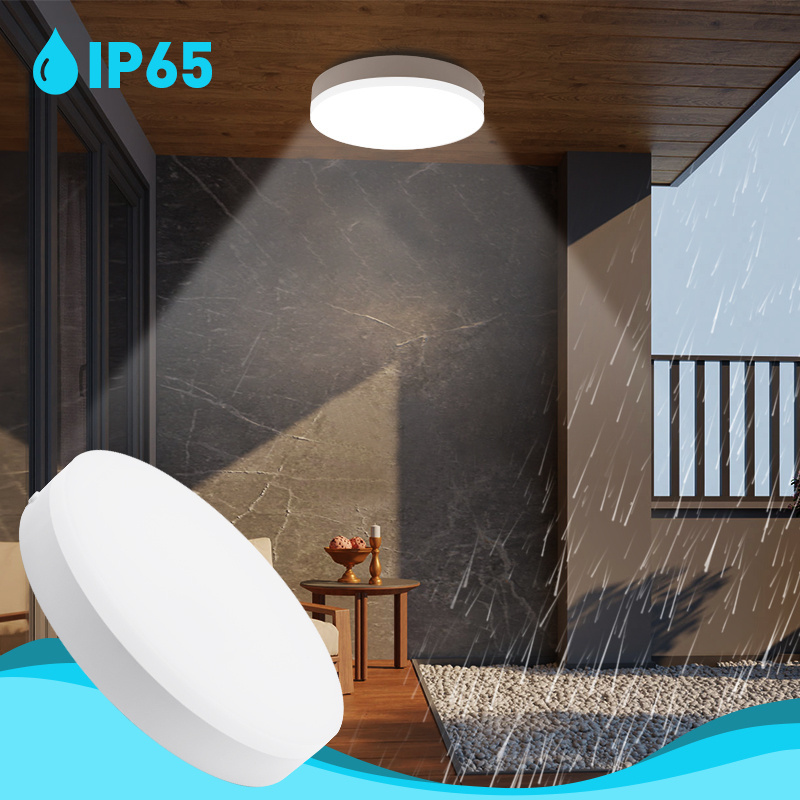 PIR Motion Sensor LED Night Light Modern 18w IP65 Led Ceiling Lights For Kitchen Entrance  Hallway