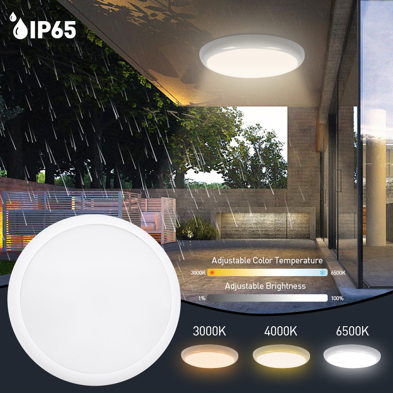 Nordic Modern Simple Home Decoration Light IP65 Waterproof Bathroom Shower Room Dimming Led Ceiling Lights