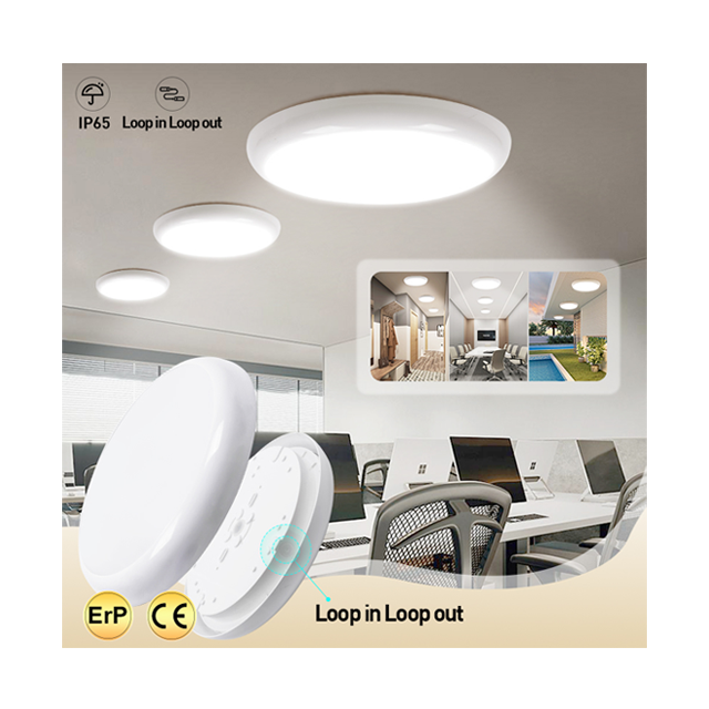 Nordic Modern Simple Home Decoration Light IP65 Waterproof Bathroom Shower Room Dimming Led Ceiling Lights