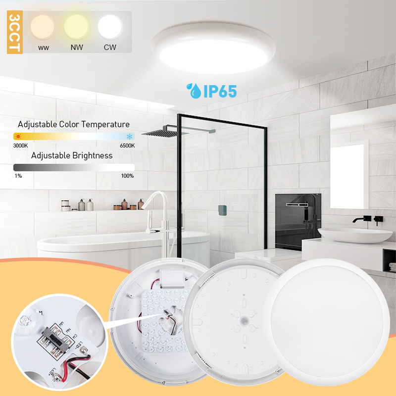 New Smart Dimmable Decorative 12w IP65 Flush Mount Round Led Ceiling Lights For Exterior Porch Bathroom