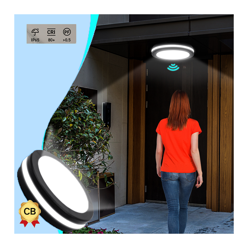 Adjustable 20w 3CCT Flush Mount IP65 Multi Function LED White BLack Ceiling Lights with Motion Sensor