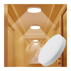 280mm 18W Modern High Brightness Microwave Motion Sensor Surface Mounted IP65 LED Ceiling Lights