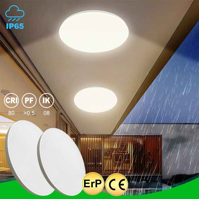 Surface Mounted Outdoor Ceiling LED Light 24w IP65 Waterproof Bathroom Kitchen LED Ceiling Lights