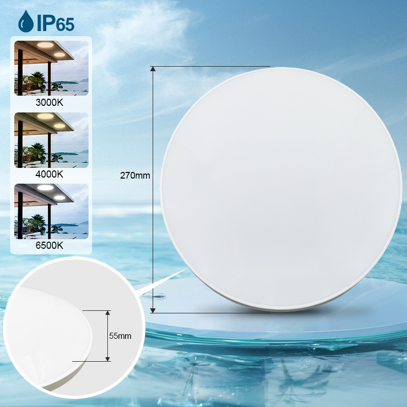 Indoor Lighting Round Ceiling Mounted Fixture Modern IP65 Slim LED Ceiling Light for Bathroom Hallway Kitchen