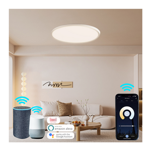 18w Flush Mount Color Changing Indoor Lighting Smart Tuya Wifi APP Control LED Ceiling Lights for Living Room