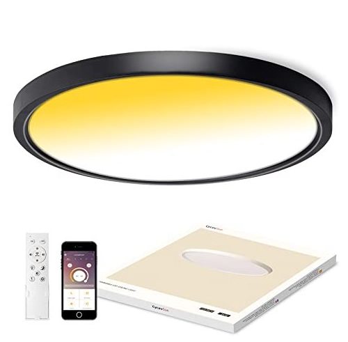 High Bright 3200lm Color Adjustable 12Inch 24W Dimmable Smart Square Model Flush Mount Remote Control Super Slim Ceiling Lamp