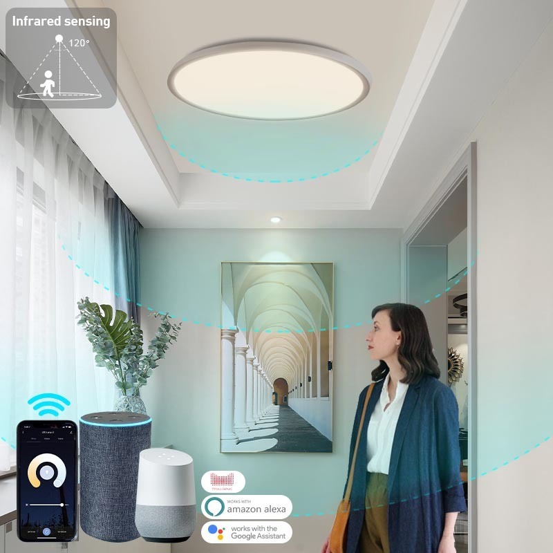 18w Flush Mount Color Changing Indoor Lighting Smart Tuya Wifi APP Control LED Ceiling Lights for Living Room