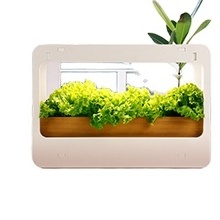 DIY Mini garden solar simulator potted Full Spectrum with smart timer Home 4000K  magic Indoor Plant Grow LED Light Kit