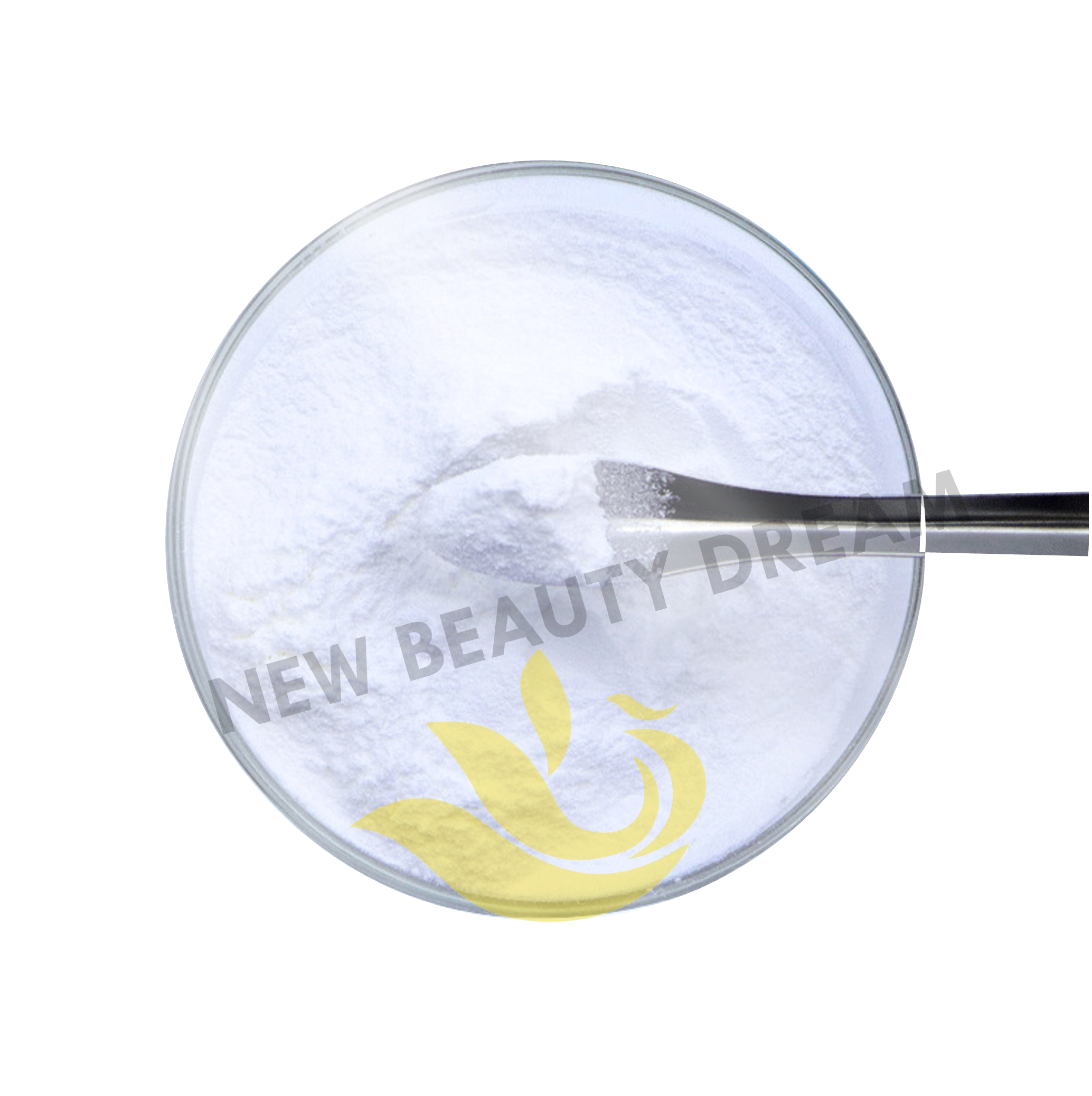 2023 New Beauty Dream Moisturizing Material Hyaluronic Acid Sodium Hyaluronate Powder HA Powder