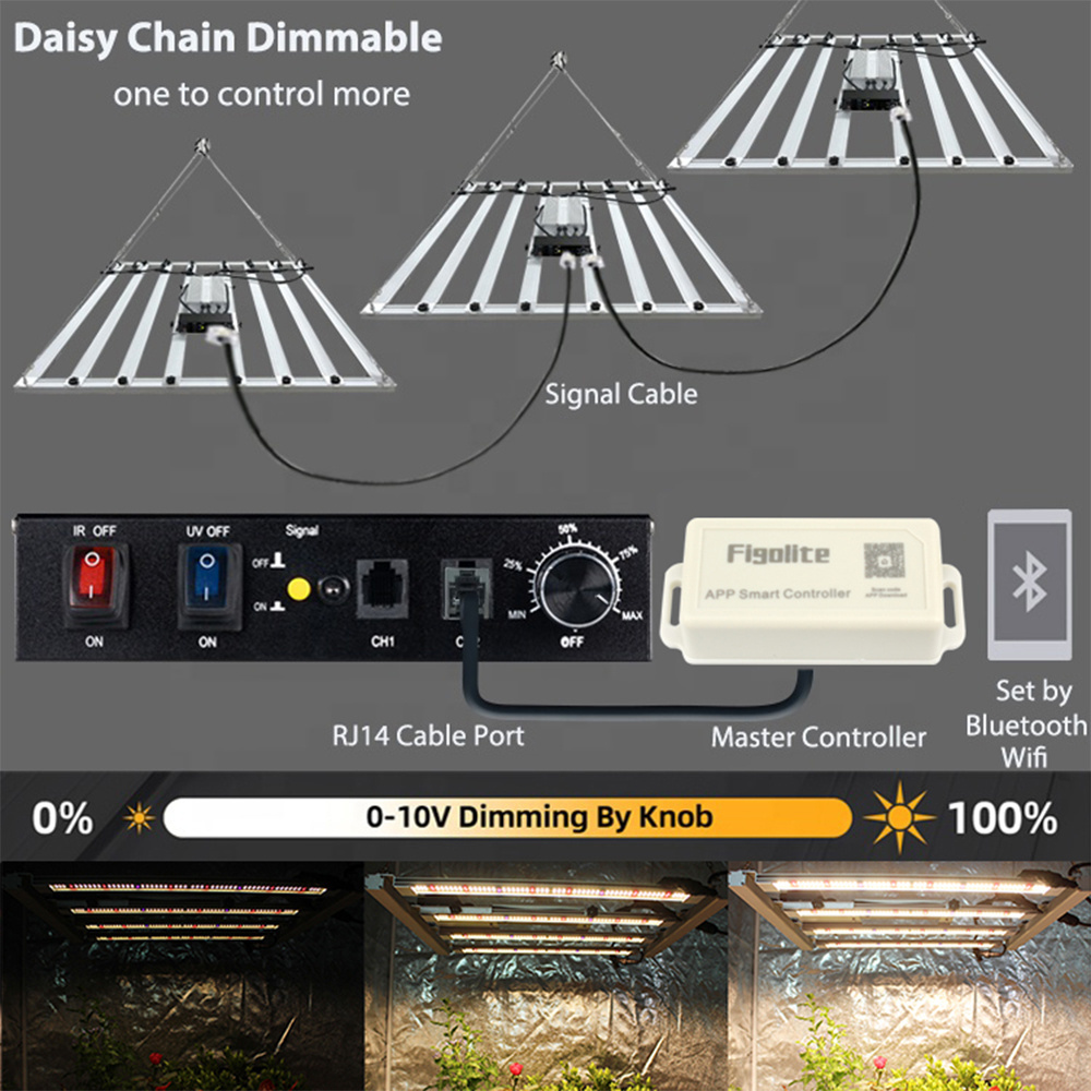 Free APP Smart controller! Figolite Original Samsung LM301H EVO LED grow light bars 240w full spectrum switch control UV IR