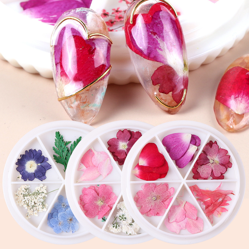 Boxed high quality 3D nail art dried flowers sticker decoration accessories pink blue dry flowers nail art