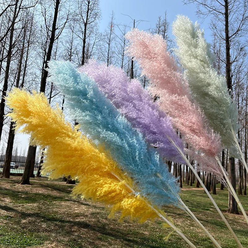 Accept Customization Dried Decor Pampas Steppe Artificial Decorative Flowers Fluffy Tall Pampas Grass