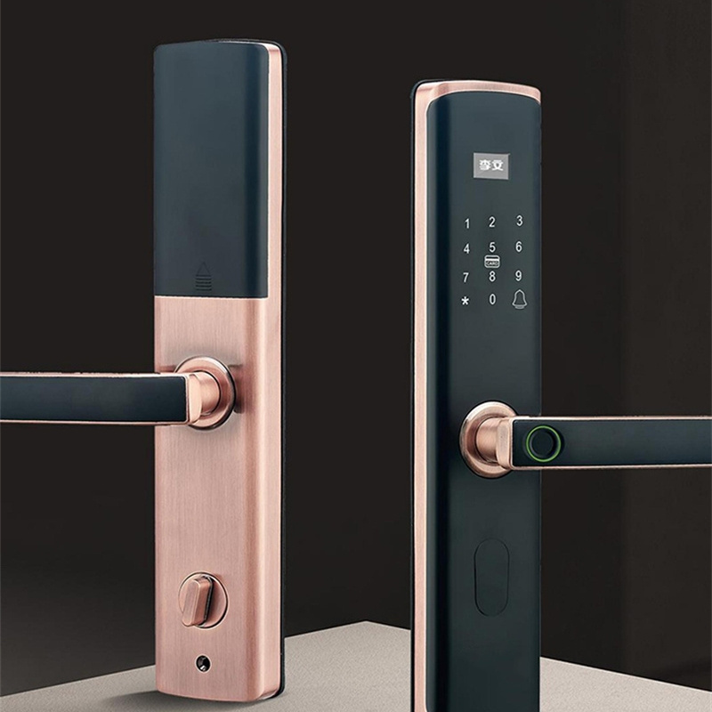 NeweKey New Design Aluminum Door  Tuya APP  Safety Biometric Fingerprint Wifi Locks With Door Handle Smart Lock