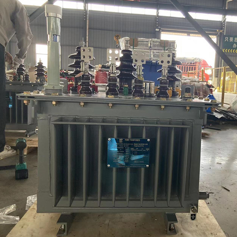 Temperature Cold Resistance 11kv 33kv 300KVA 1000KVA 10 MVA Oil Immersed Power electrical Distribution transformers price