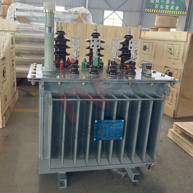 Temperature Cold Resistance 11kv 33kv 300KVA 1000KVA 10 MVA Oil Immersed Power electrical Distribution transformers price