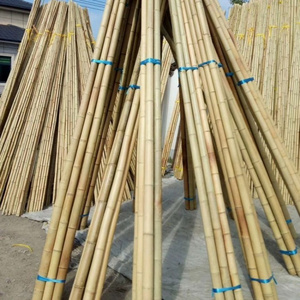 Newell Green Fence Outdoors Dry Natural Treated 3m Fishing Large Wholesale Artificial Bulk Raw Bamboo Poles For Construction