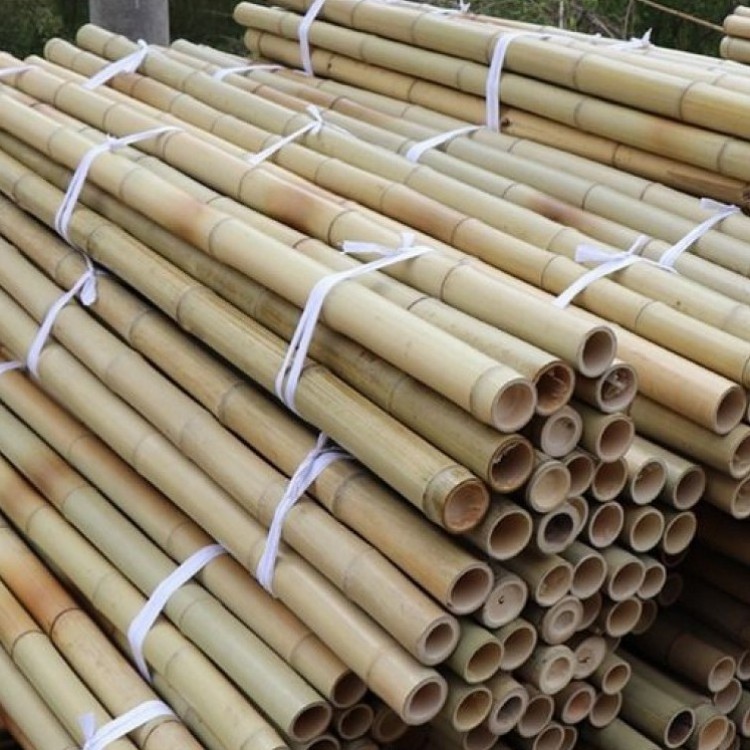 Newell Green Fence Outdoors Dry Natural Treated 3m Fishing Large Wholesale Artificial Bulk Raw Bamboo Poles For Construction